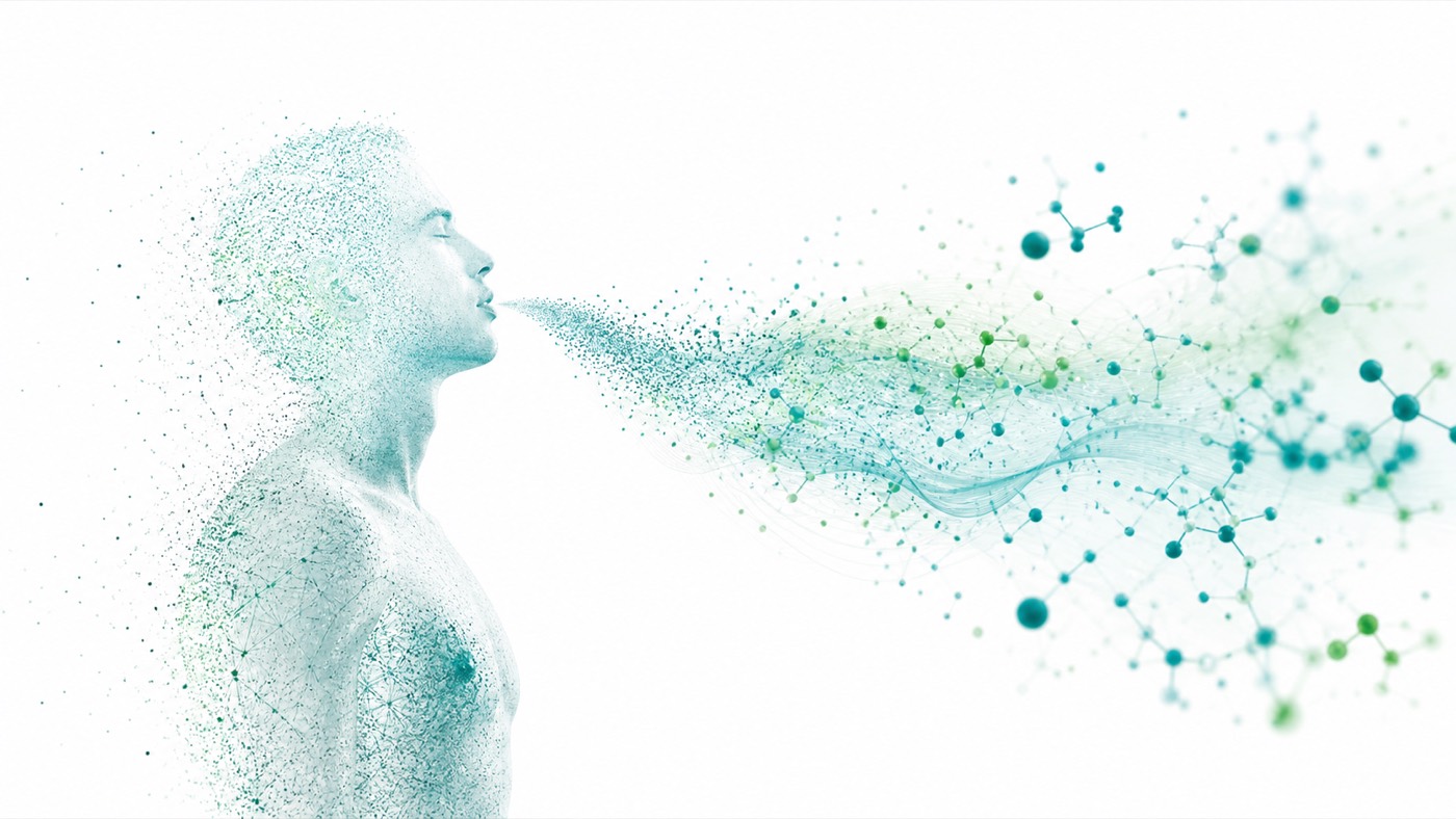 Kalibra article image for Exhaling Fat: An Unexpected Fitness reality check